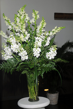 aumanphoto-014