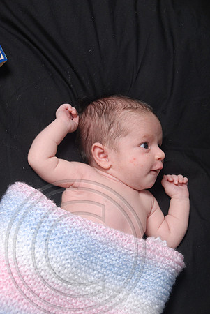 auman_photo_proof_0037