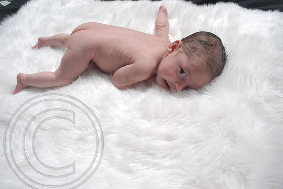 auman_photo_proof_0062