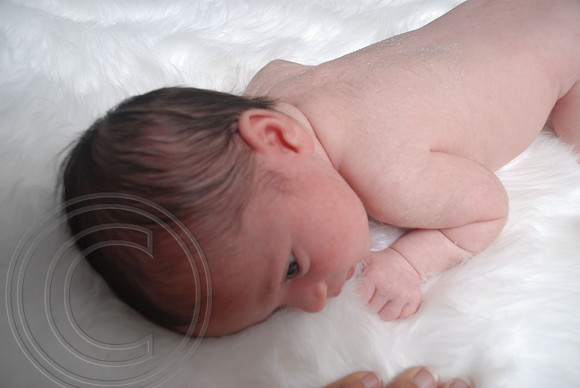 auman_photo_proof_0065
