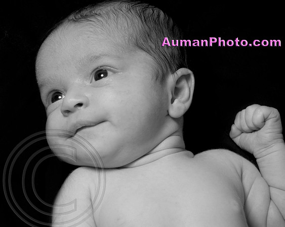 Rosely 11-26-12