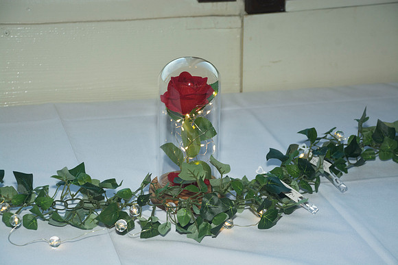 auman_photo-012