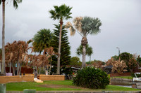 Auman_Photo004