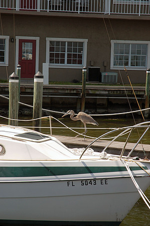 aumanphoto_proof223