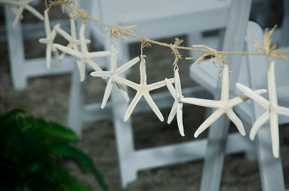 auman_photo-011