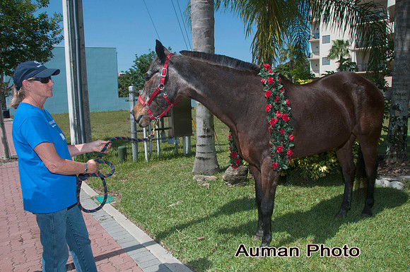 auman_photo-025