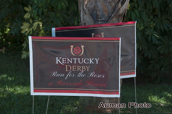 auman_photo-002