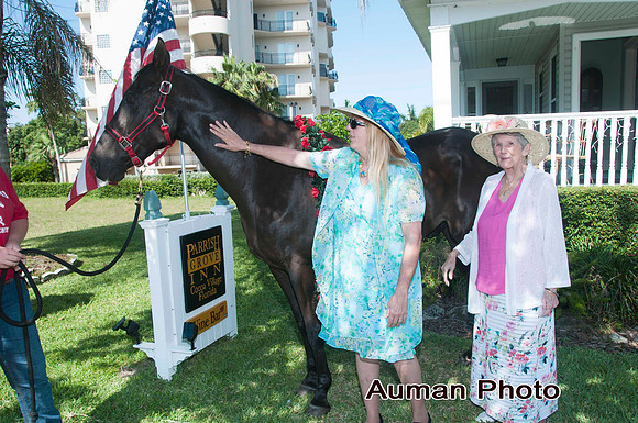 auman_photo-118