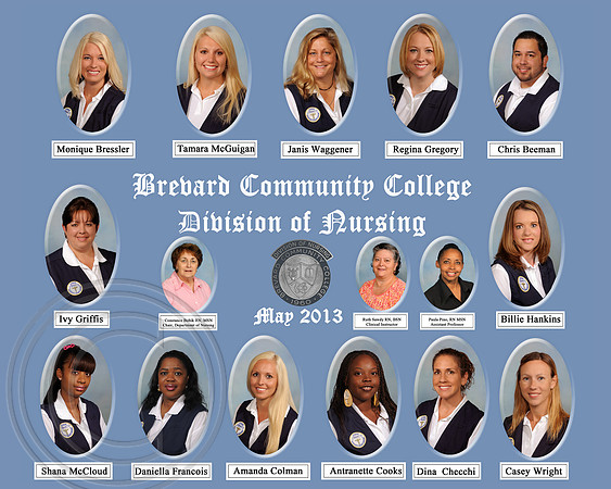 16 x 20 2013 Nursing