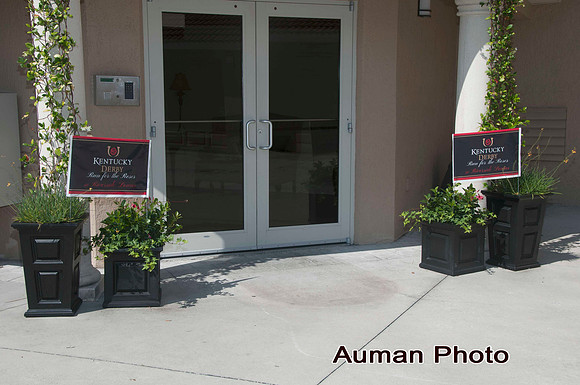 auman_photo-102