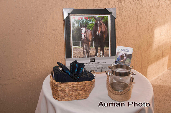 auman_photo-297