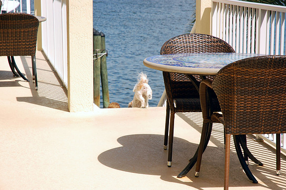 aumanphoto_proof082
