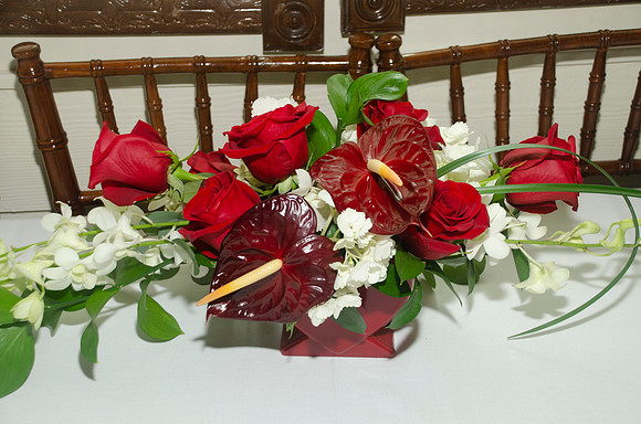Auman_Photo-025