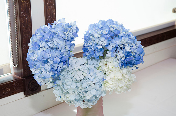 Auman_Photo-042