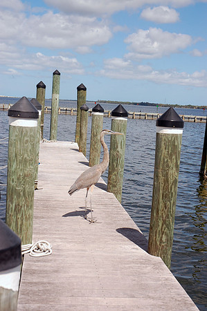 aumanphoto_proof219