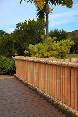 Bamboo Railing