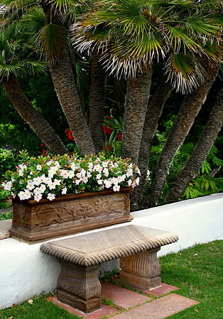 Bench in Garden