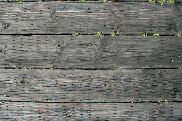 Dock Planks