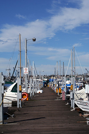 Dock