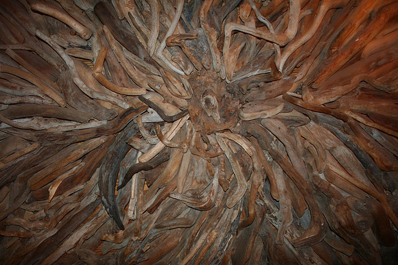 Driftwood-01