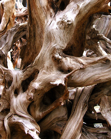 Driftwood-02