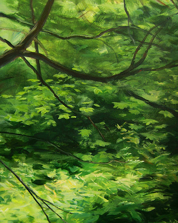 Forest Impression