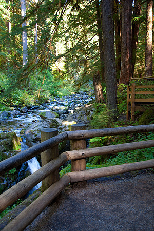 Forest-Railing