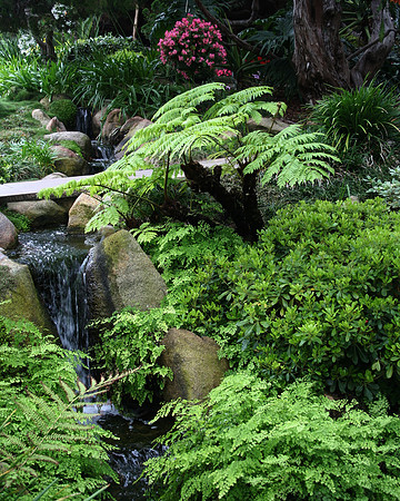 Garden Falls