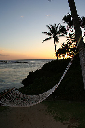 Hammock