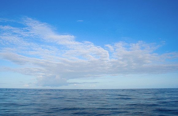 Ocean Horizon