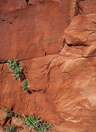 Red Rock-02