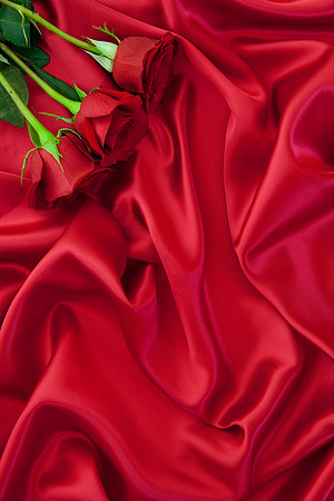 Red-Satin-and-Roses