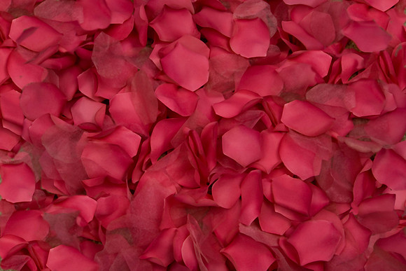 Rose Petals