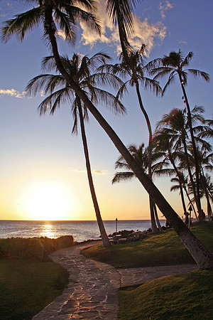 Sunset Path