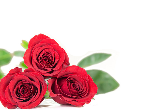 Three-Roses-Corner