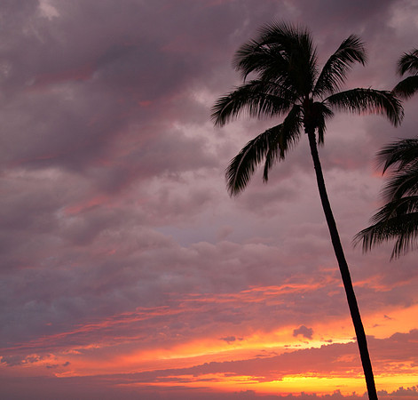 Tropical Sunset-03