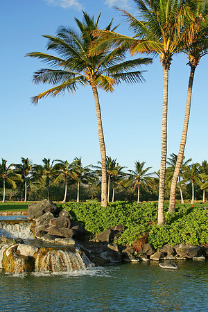 Waterfall-and-Palms