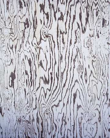 Wood Grain