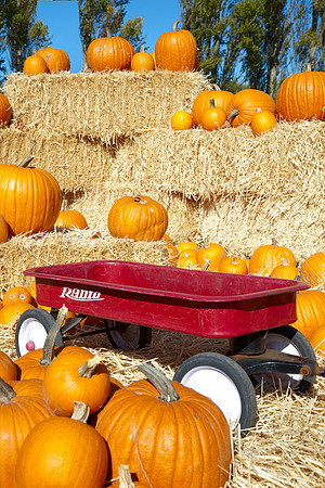 Pumpkins and Wagon