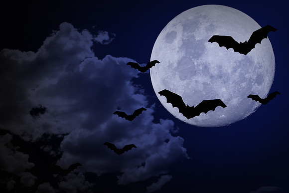 Bats and Moon