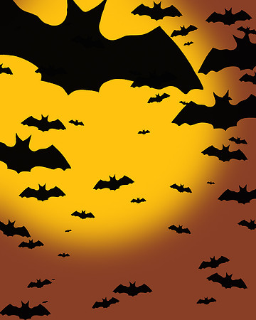 Bats