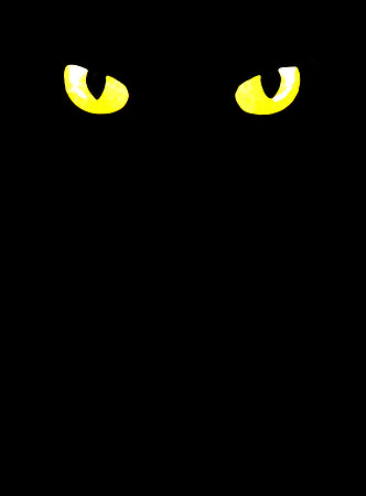 Cat Eyes
