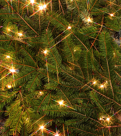 Plain White Stars V