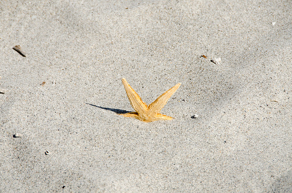 auman_photo-001