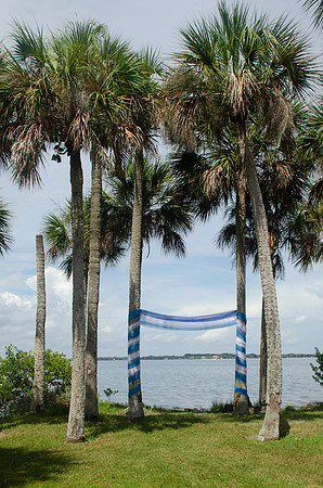 Auman_Photo-006