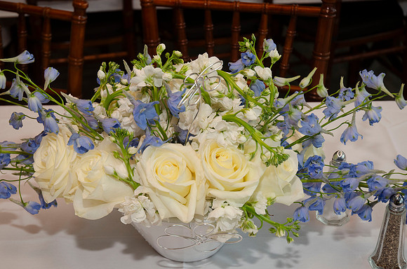 Auman_Photo008