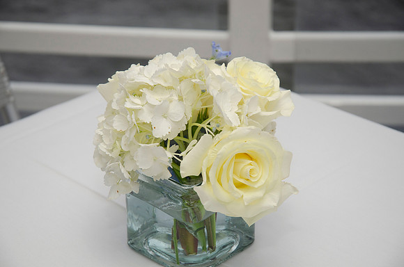 Auman_Photo011