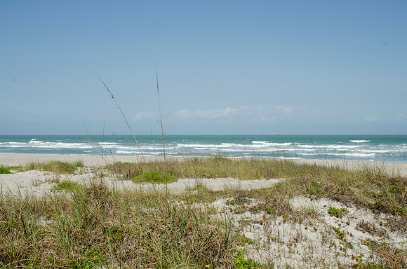 Auman_Photo001