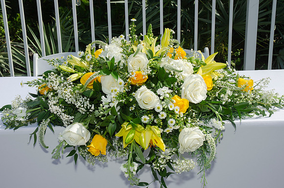 Auman_Photo003