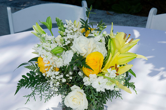 Auman_Photo004